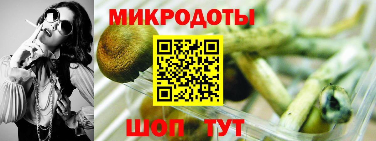 Урус-Мартан  Псилоцибиновые грибы Psilocybe  Вход с VPN 